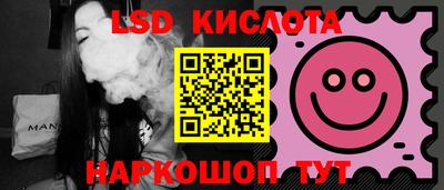 крисы Малгобек