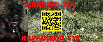 крисы Малгобек