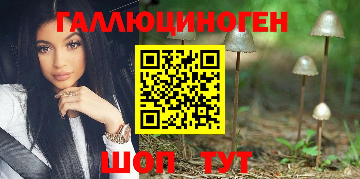 Галлюциногенные грибы Psilocybe  Вход с VPN  Елизово 